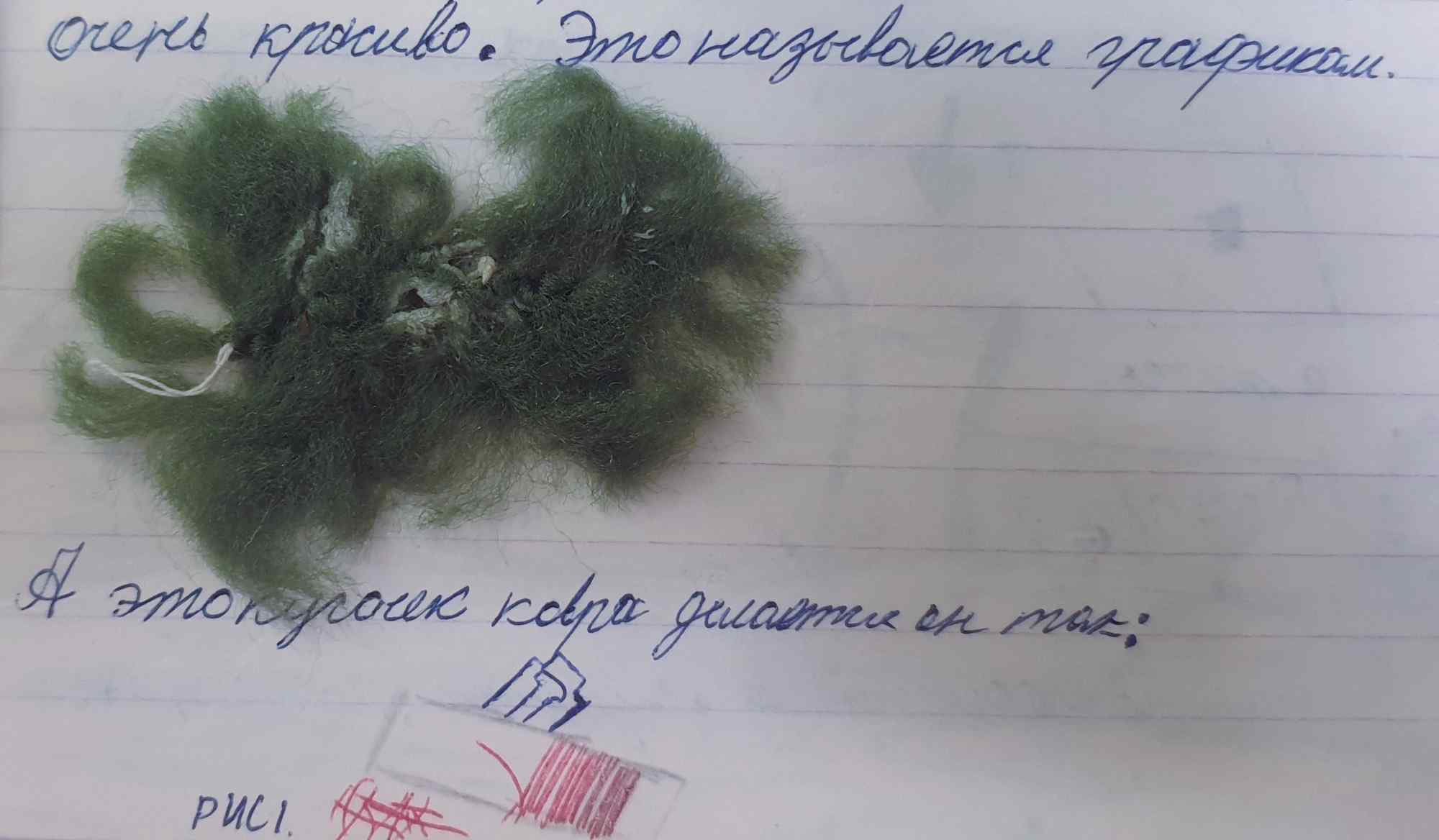На листе в линейку лежат зелёные нитки, рядом рукописный текст: «очень красиво. Это называется графика. А это кусок ковра делают он так:» и надпись «рис.1».