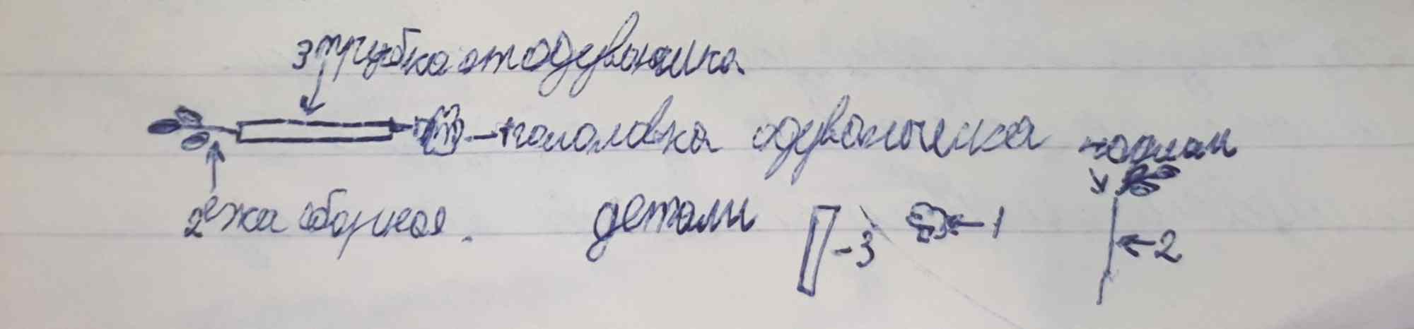 Схема строения побега: почка отодвинута, детка обрывная, детали 1-3, 1-2, 1-3.