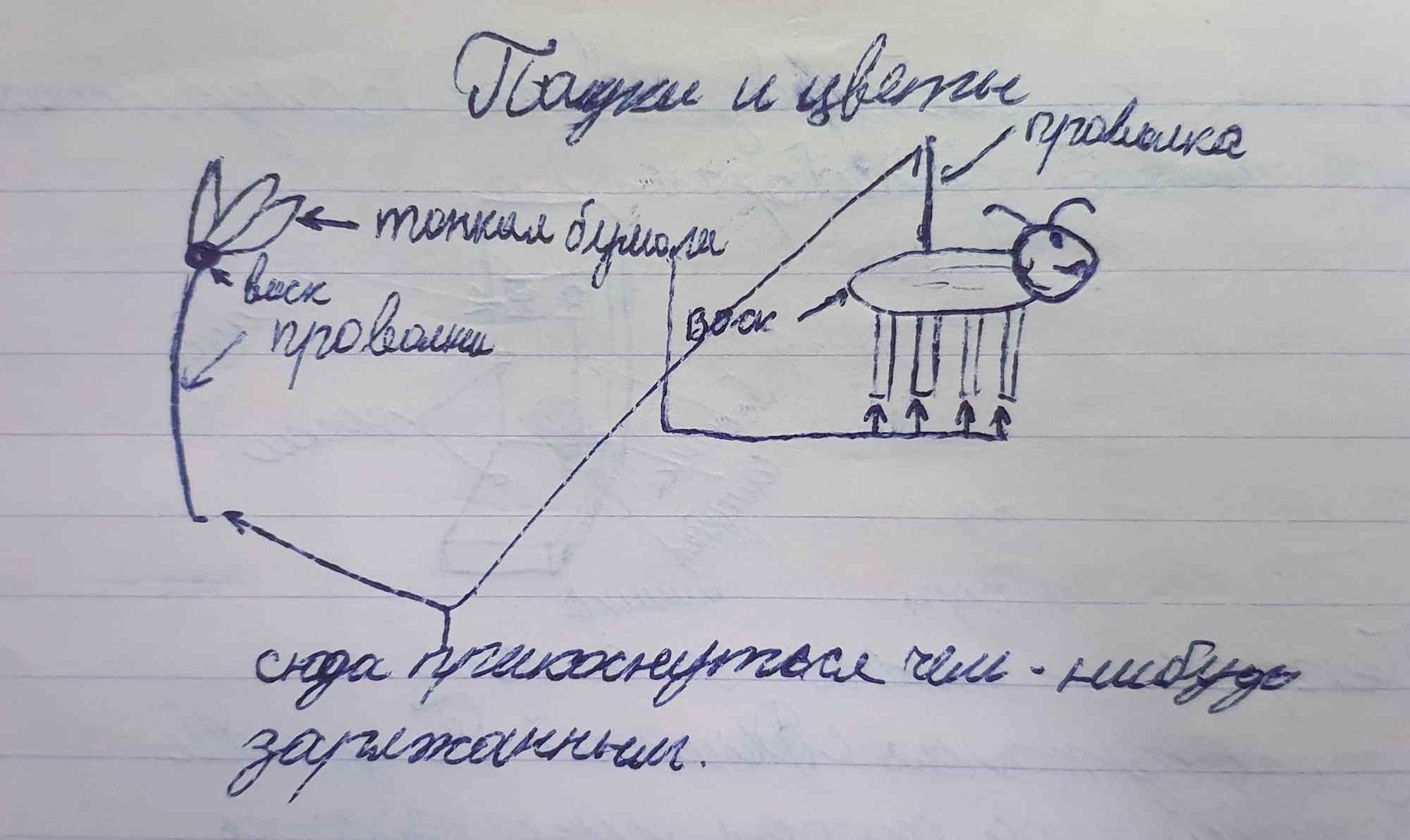 Схема «Падение и цветные провода»: тонкая бумага, воск, проволка; стрелка указывает, куда прикоснуться чем-нибудь заряженным.