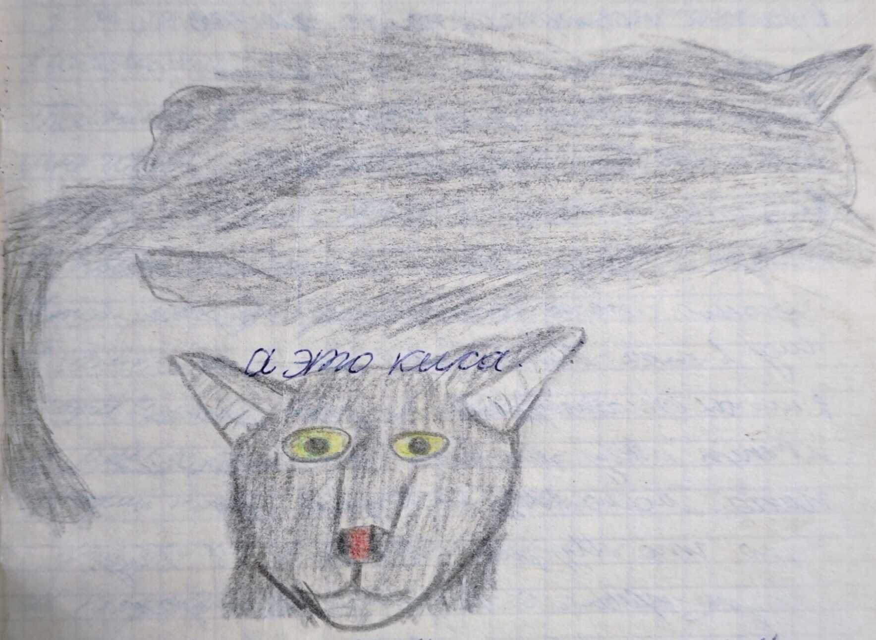 Рисунок карандашом и фломастером на клетчатой бумаге: голова серого кота с жёлтыми глазами и красным носом, над ним — силуэт лежащего кота и надпись «а это кота».