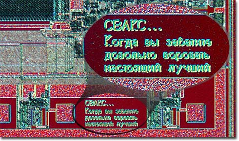 SVAX (55.69КиБ)