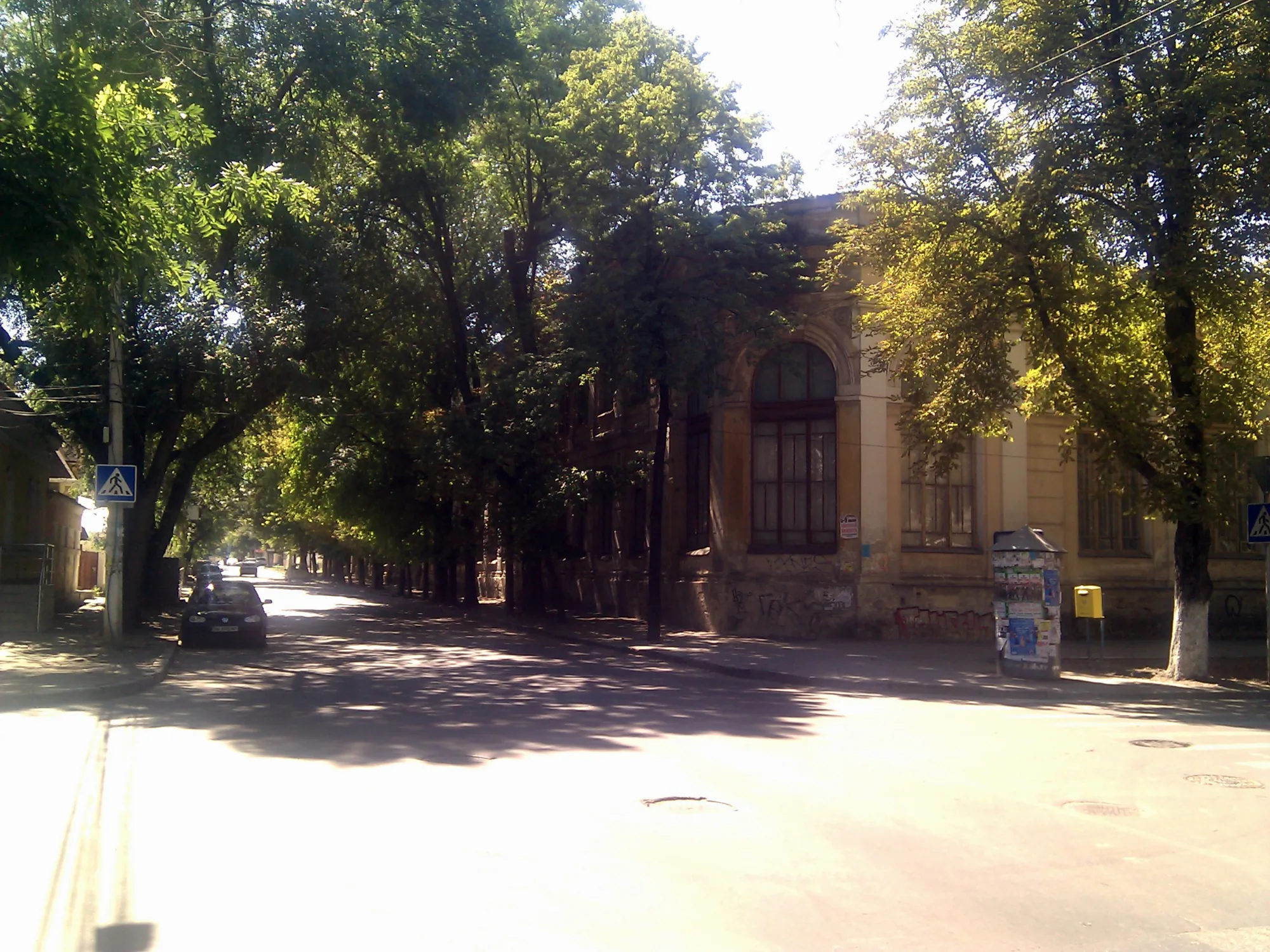 Тенистая улица с рядами деревьев, старинным зданием с арочными окнами, припаркованным автомобилем, информационным стендом и дорожными знаками на солнечном фоне.