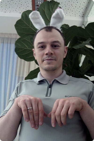 С годом зайца! (41.16КиБ)