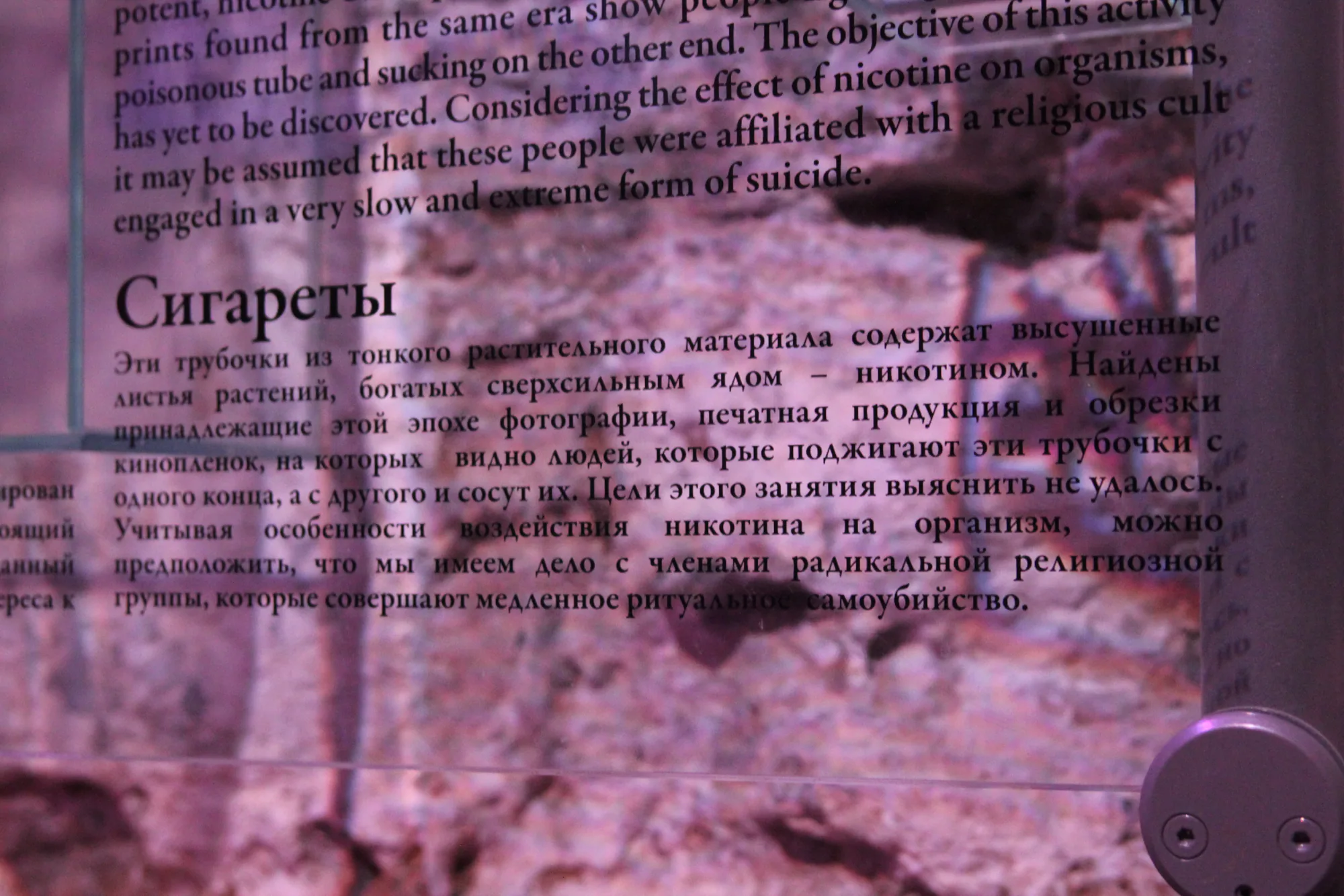 Ритуальное самоубийство (63.68КиБ)