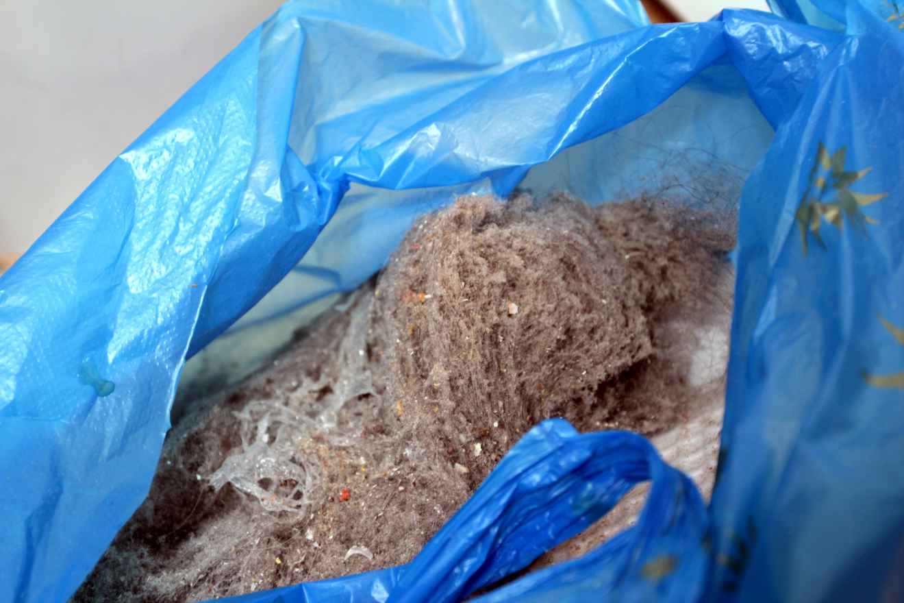 Крупный план открытого синего мусорного пакета, внутри которого видна большая куча серо-коричневой пыли, шерсти и мелкого мусора.