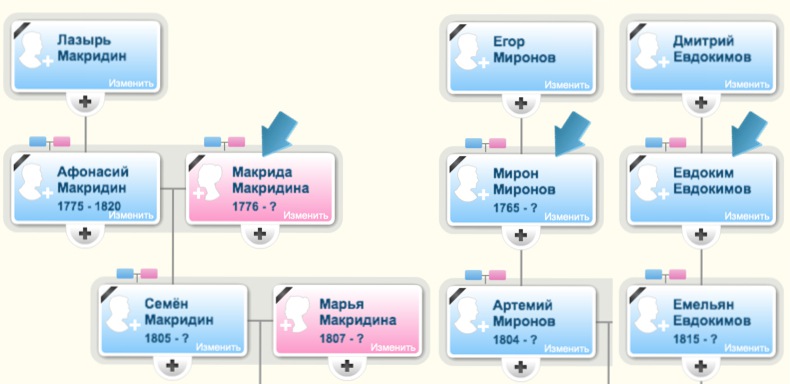 Схема родословной: Лазарь и Макрида Макридины — родители Семёна и Марьи; Егор и Евдокия Мироновы — родители Мирона и Евдокии; также показаны другие родственники с датами.