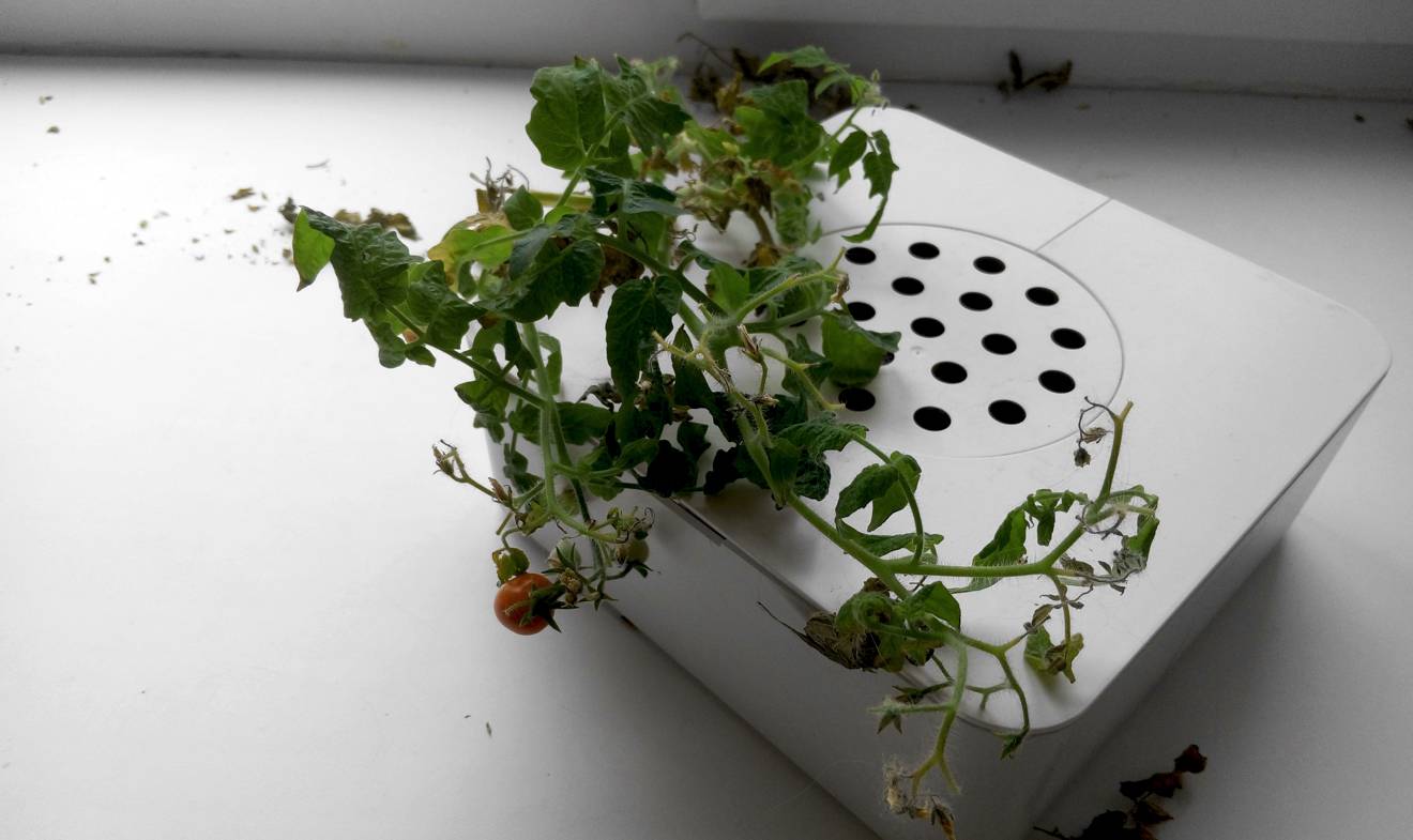 Click & Grow (76.75КиБ)
