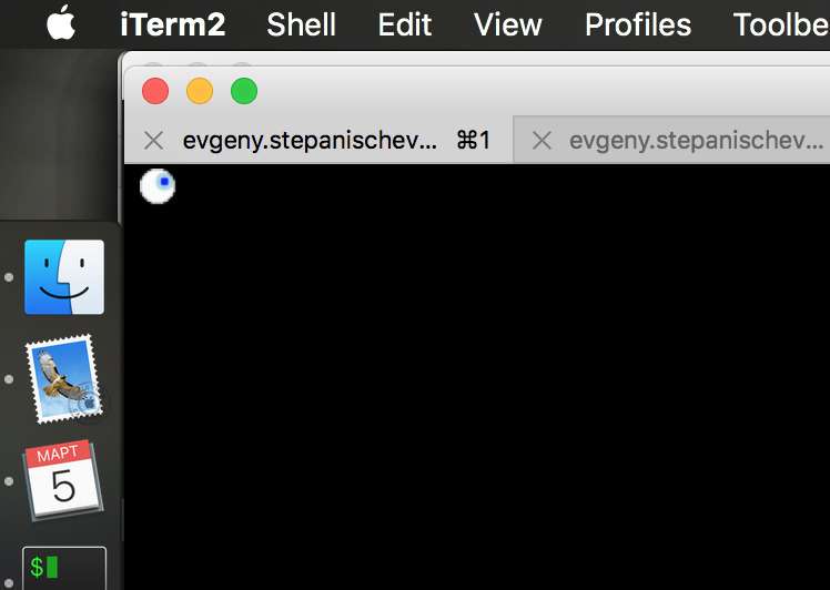 Скриншот интерфейса терминала iTerm2 на macOS с открытыми вкладками пользователя evgeny.stepanischev и видимыми элементами меню и док-панели.