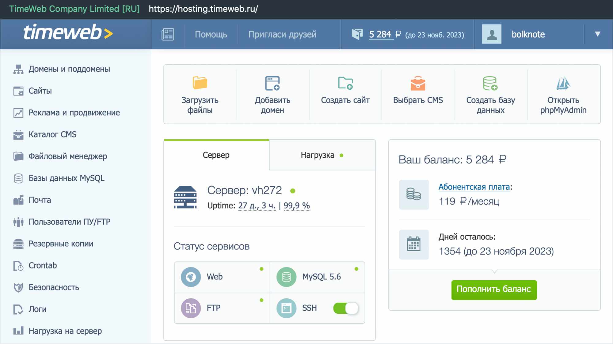 Скриншот панели управления хостингом TimeWeb: баланс 5284 ₽, сервер vh272, аптайм 99,9%, тариф 119 ₽/мес, до 23 нояб. 2023, кнопки действий и статус сервисов.