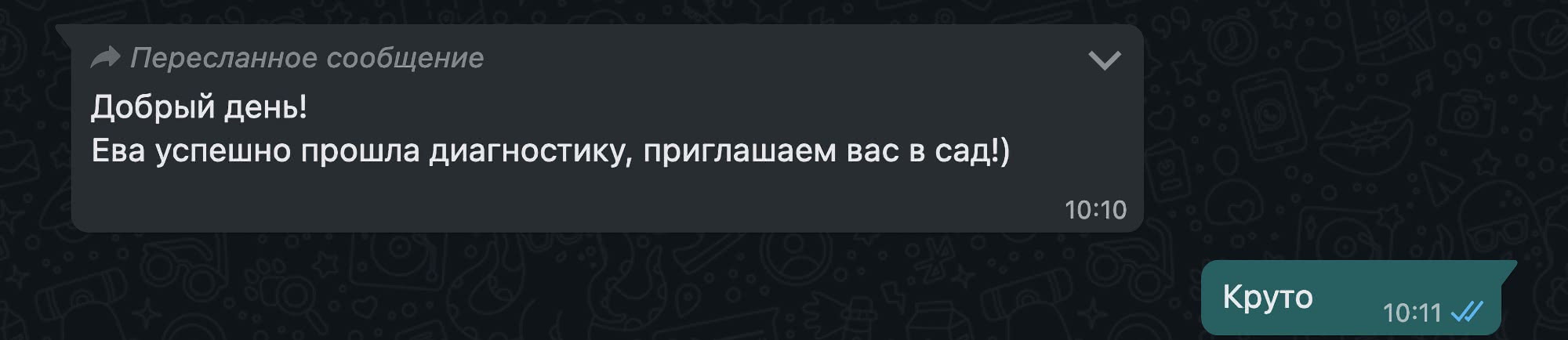 Пересланное сообщение: «Добрый день! Ева успешно прошла диагностику, приглашаем вас в сад!)» в 10:10; ответ «Круто» в 10:11 с галочками.