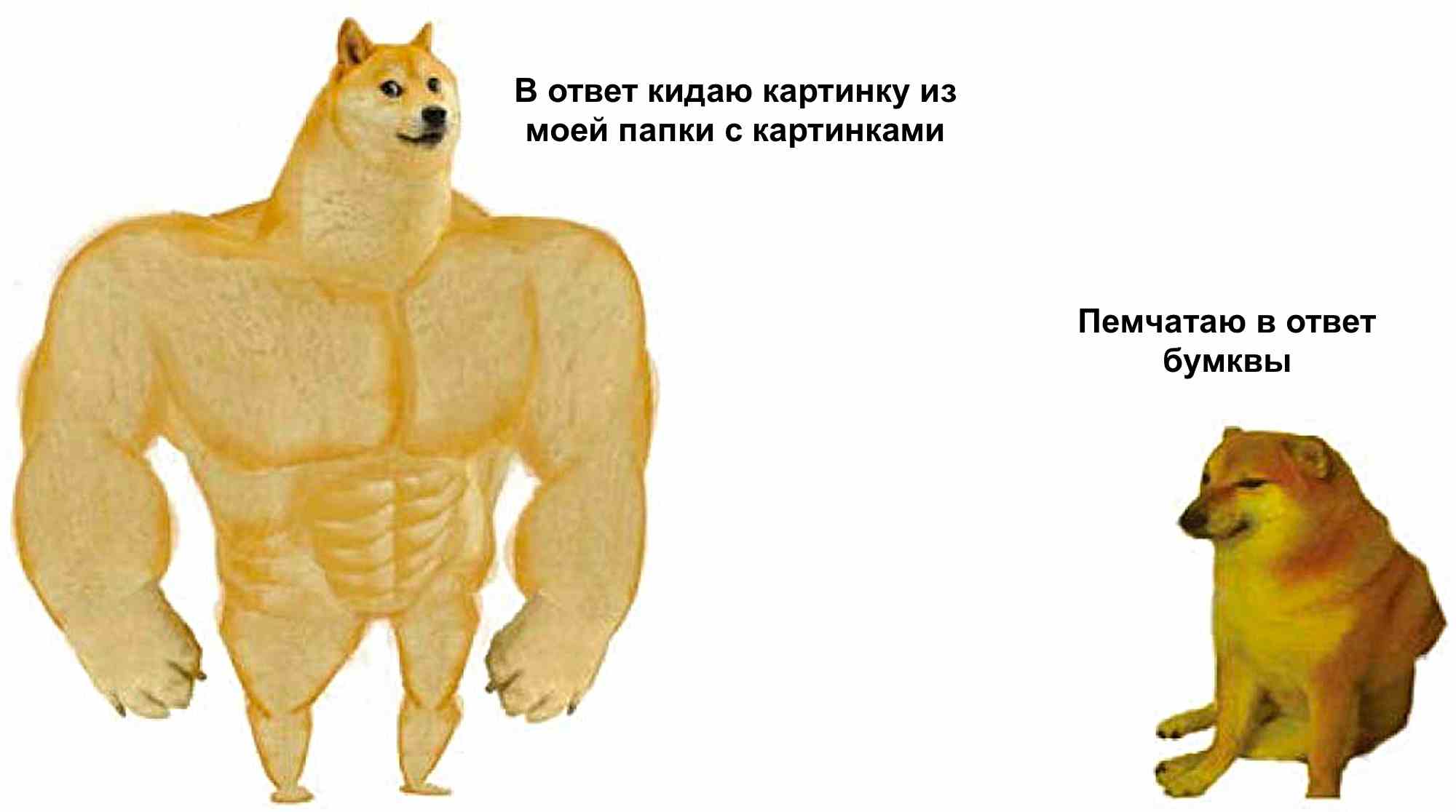 Мем с мышечным и обычным догом: «В ответ кидаю картинку из моей папки с картинками» и «Пемчатаю в ответ бумквы».