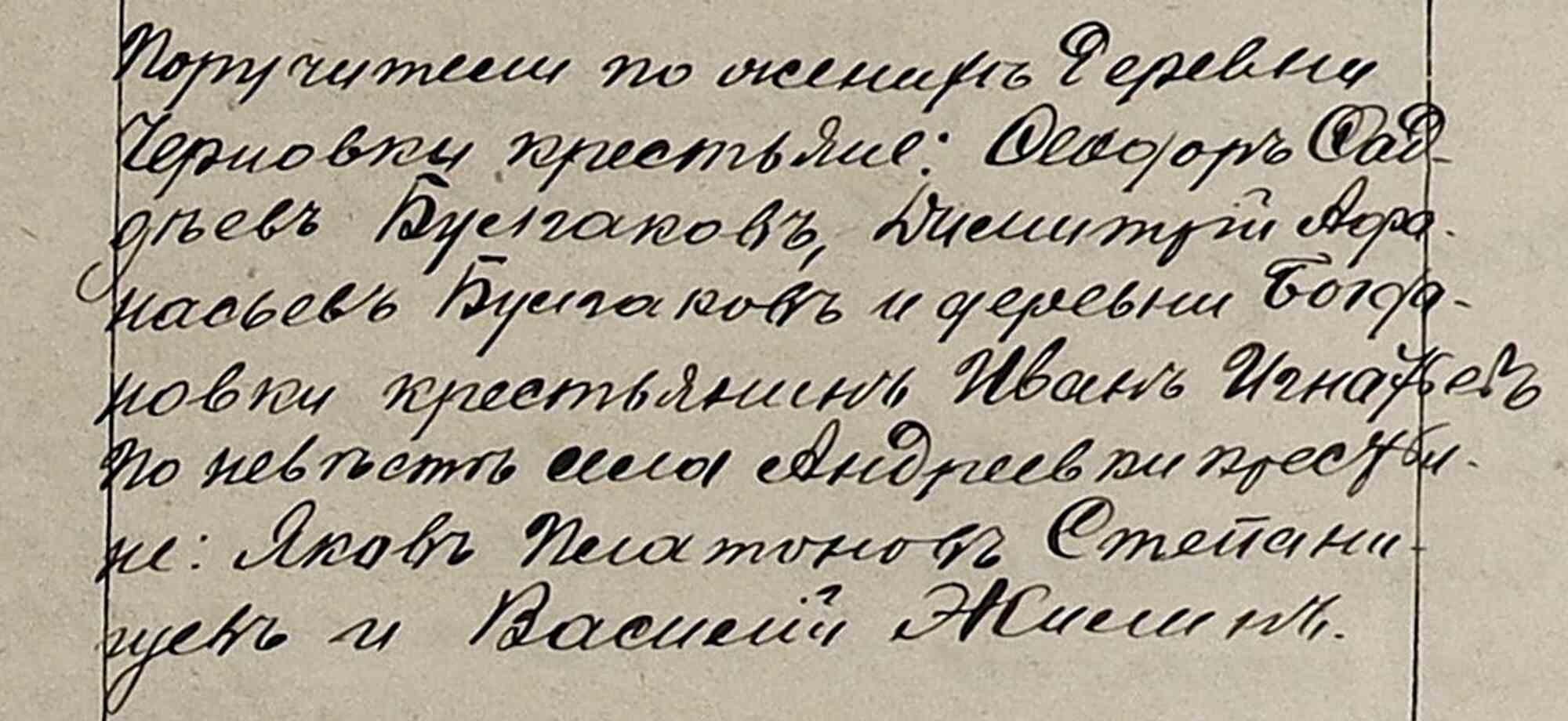 Список поручителей: крестьяне Черновки (Осипов, Саддьев, Булгаков, Часьев) и Богдановки (Иван Игнашев, Яков Пелагонов, Степанцев, Василий Именистый) по небытию Ендриевых.