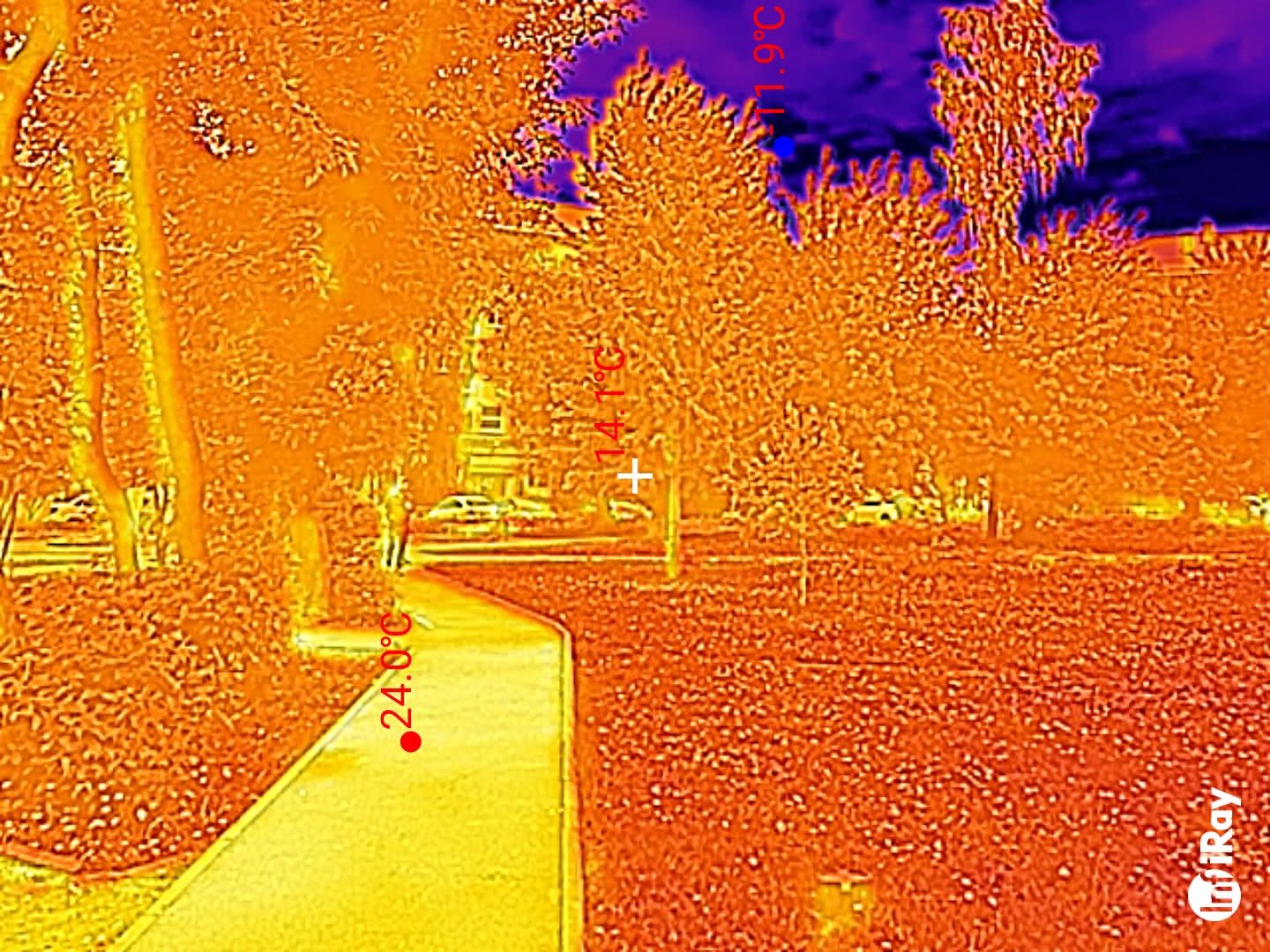 Тепловизионное изображение парковой зоны с дорожкой, деревьями и зданиями; отмечены температуры: 24,0°C на дорожке, 14,1°C в центре, -11,9°C в небе; логотип iRay.