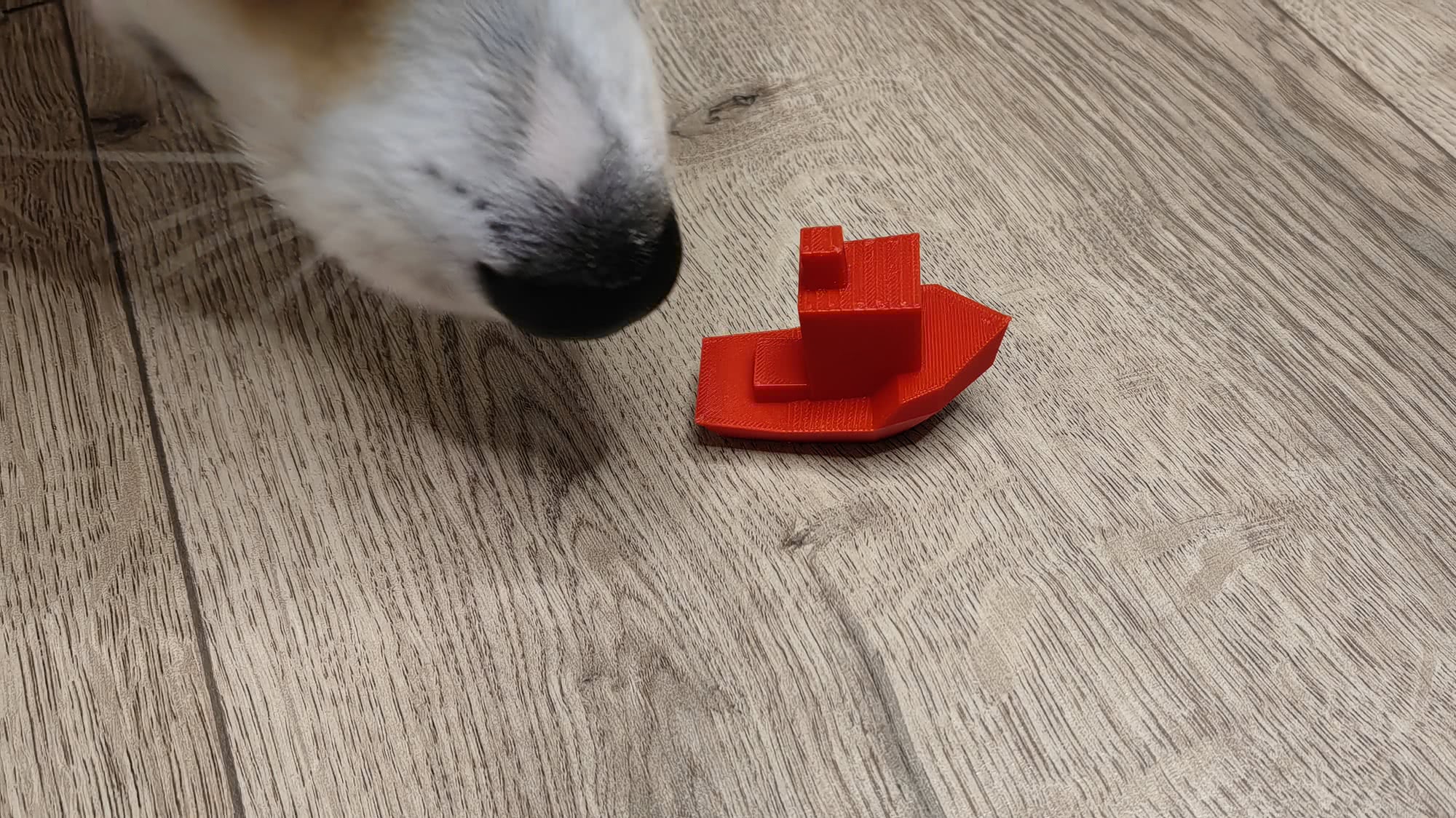 Белый кот нюхает красную 3D-печатную модель корабля на светлом деревянном полу.