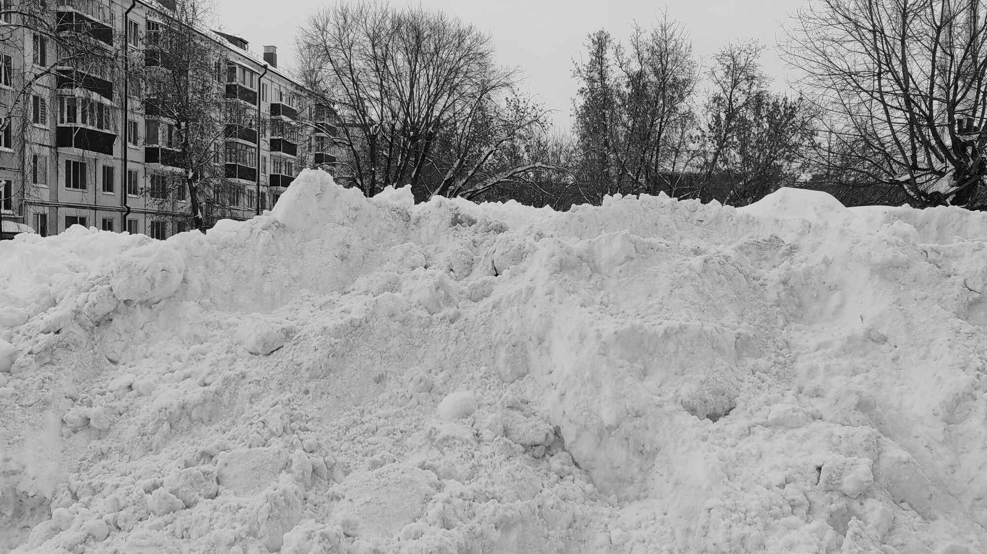 Большая снежная куча на переднем плане, за ней — многоэтажный жилой дом и голые деревья под пасмурным небом.