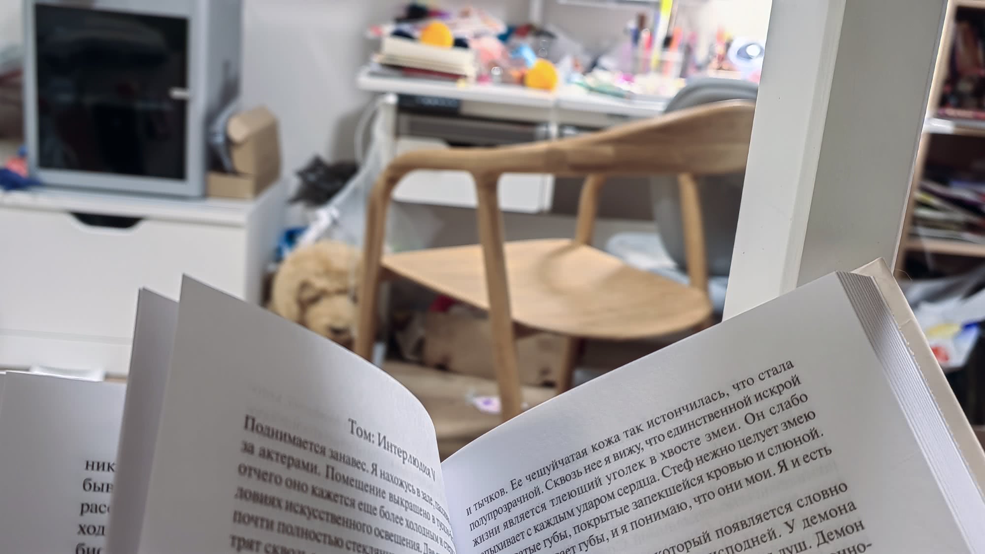 Открытая книга с русским текстом на переднем плане, на заднем плане — деревянный стул, спящий кот и рабочий стол в комнате.