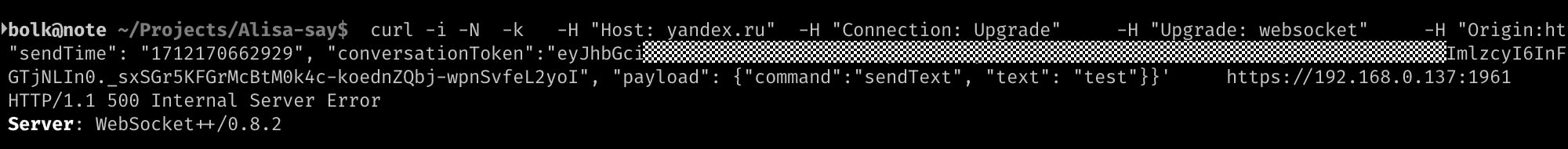 Скриншот терминала: команда curl с WebSocket-запросом к localhost:1961, ответ HTTP 500, сервер WebSocket++/0.8.2; часть токена скрыта.