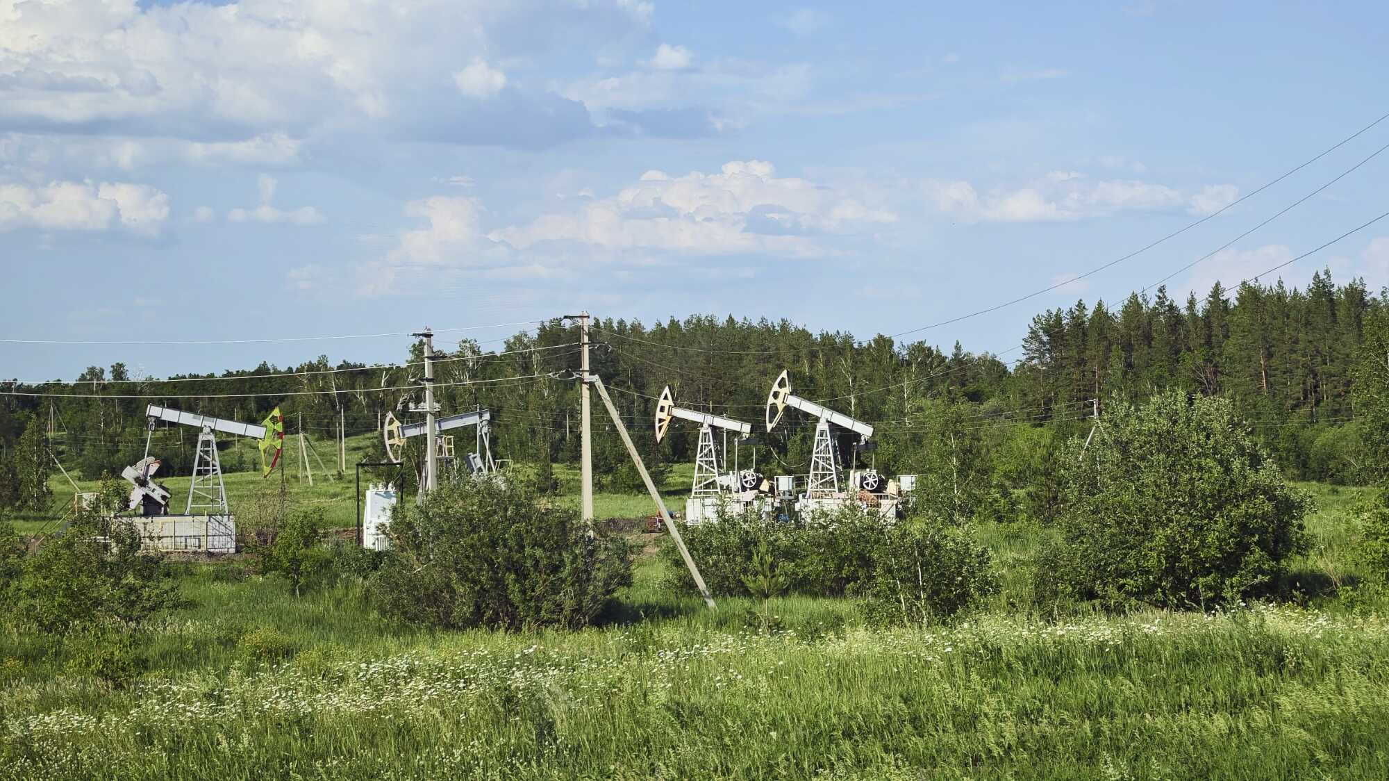 Несколько нефтедобывающих вышек на зелёном лугу с кустарниками и деревьями на фоне голубого неба с облаками.