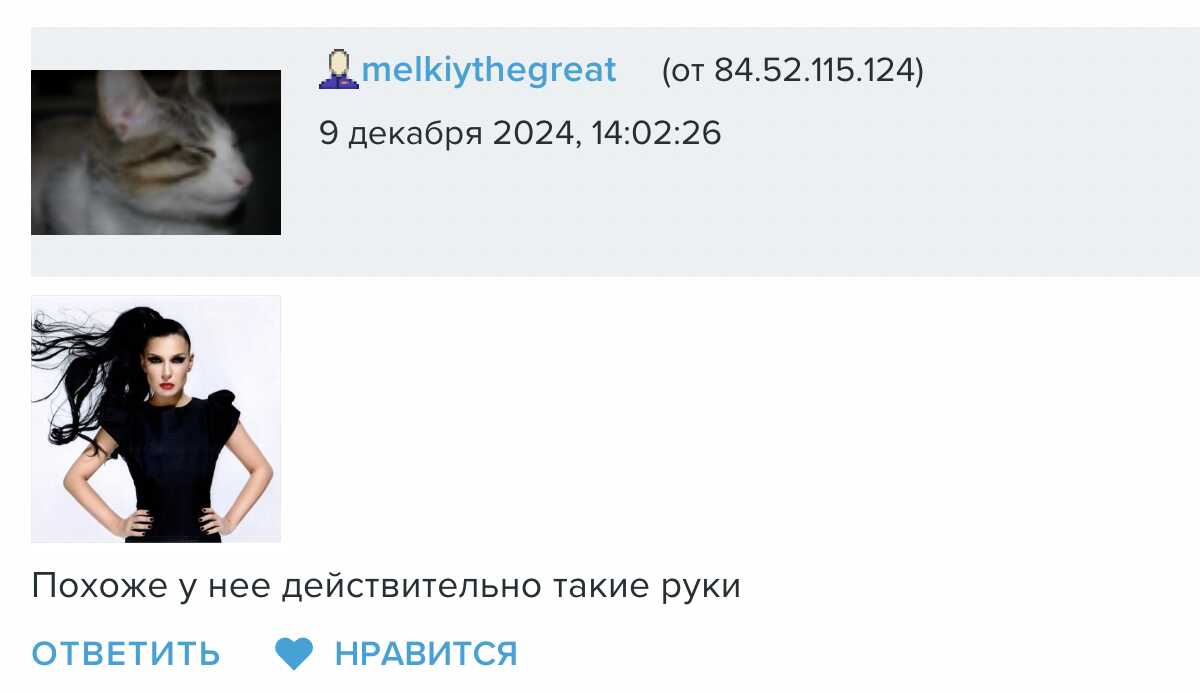 Комментарий пользователя melkiythegreat от 9 декабря 2024 года с фото женщины в чёрном платье и подписью «Похоже у нее действительно такие руки».